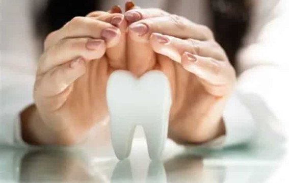 The Hidden Guardian of Your Smile Why Tooth